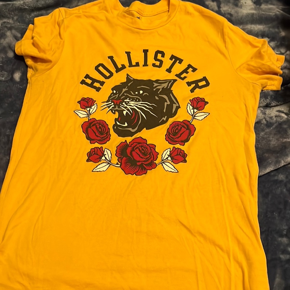 Hollister T’shirt